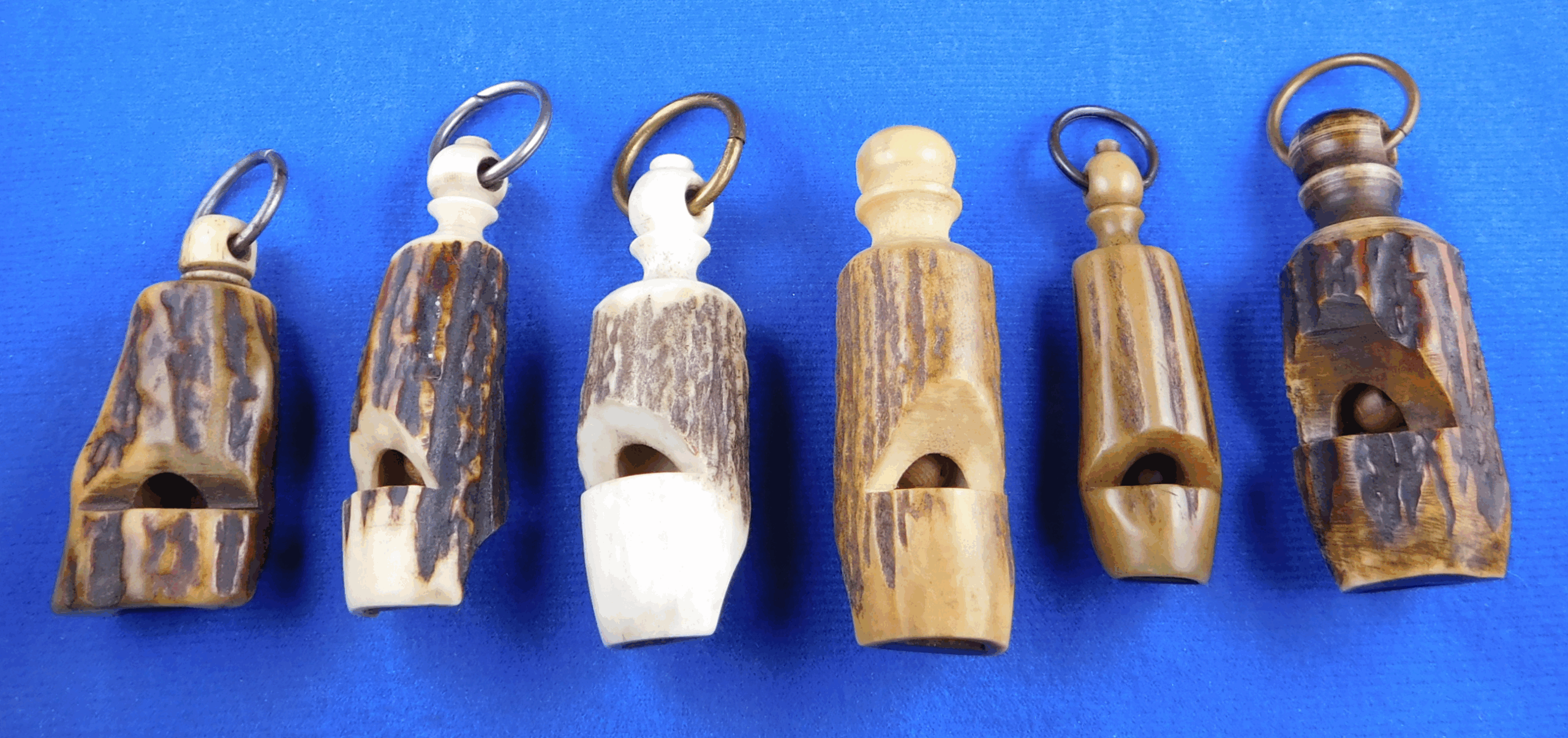 plant and animal whistles