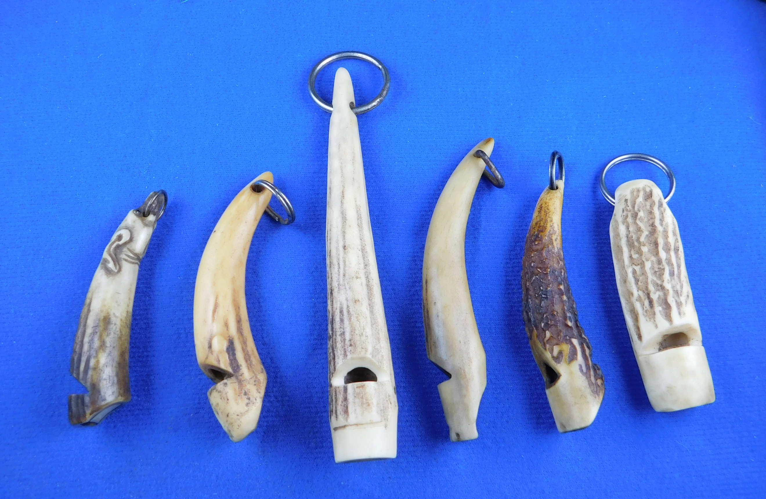 plant and animal whistles