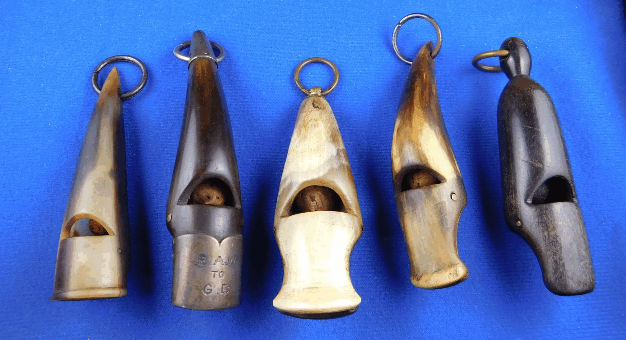 plant and animal whistles