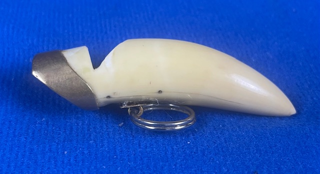 plant and animal whistles